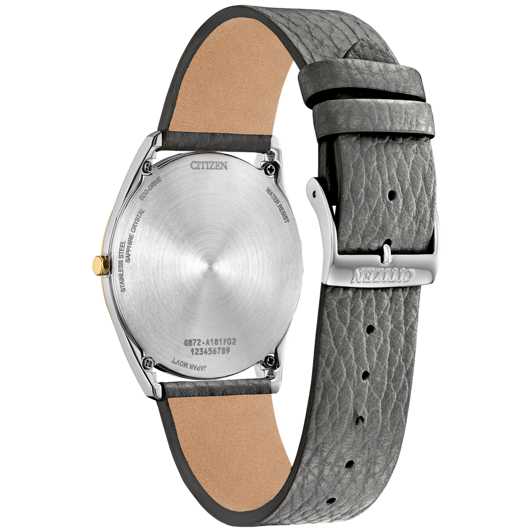 Citizen "Suratto" Classic Collection Watch