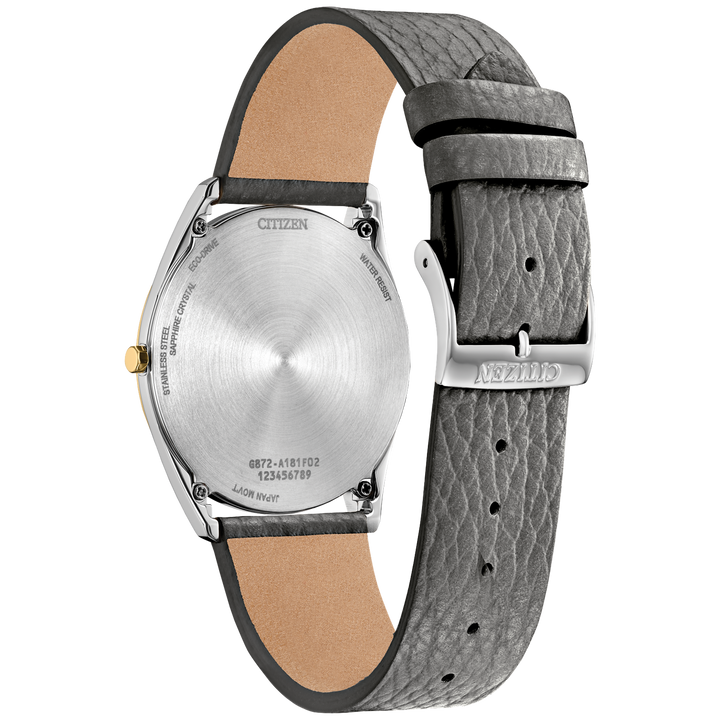 Citizen "Suratto" Classic Collection Watch