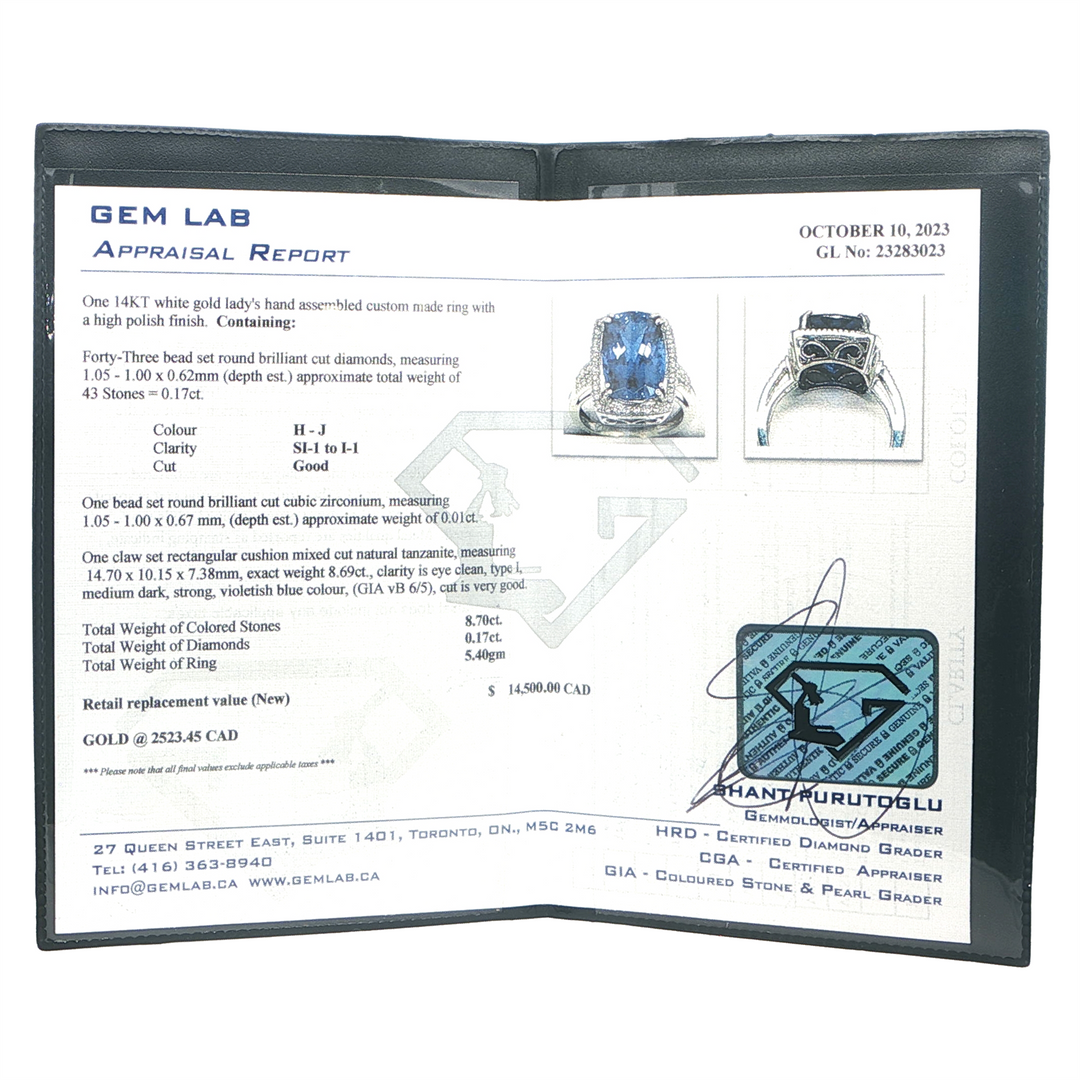 14KT White Gold Tanzanite and 0.17ctw Diamond Ring